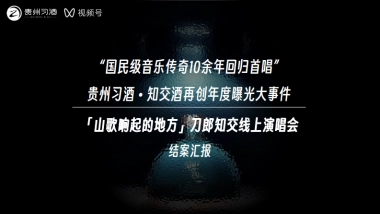 贵州习酒演唱会结案报告