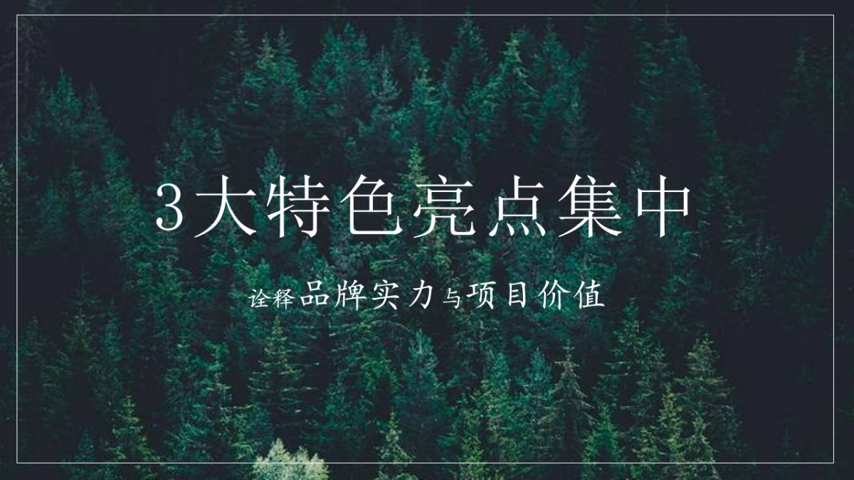 高端森系地产品牌产品发布会活动策划方案_第10页