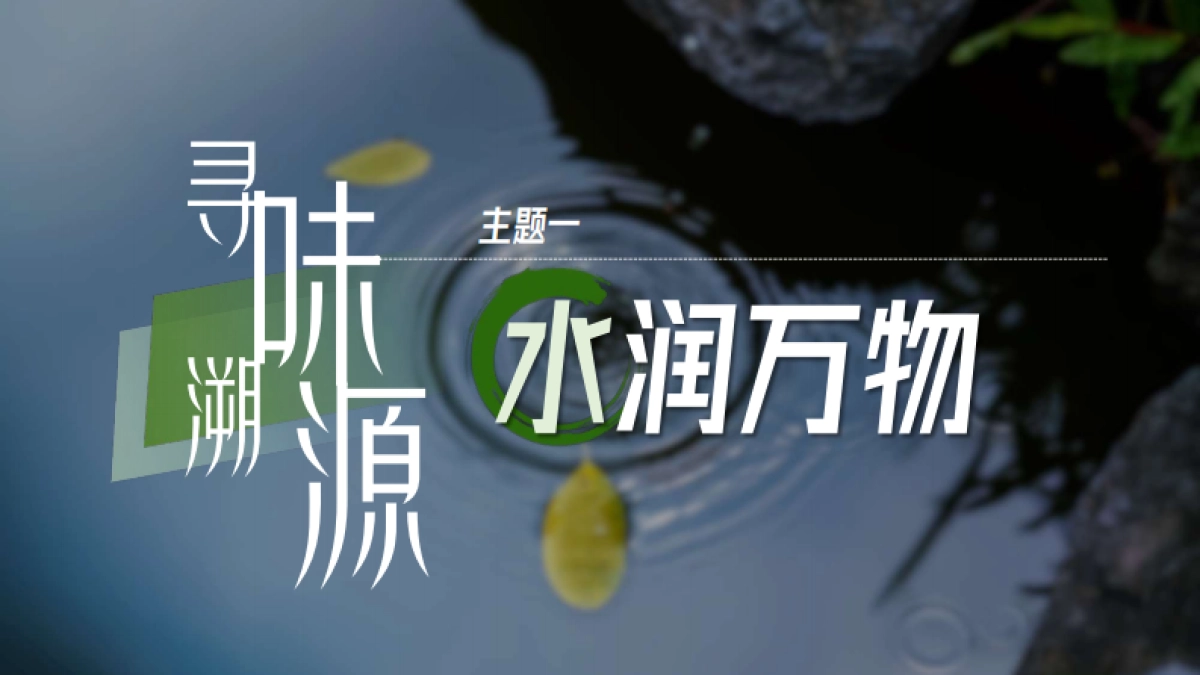 2025年「寻味溯源」营销招商通案_第9页