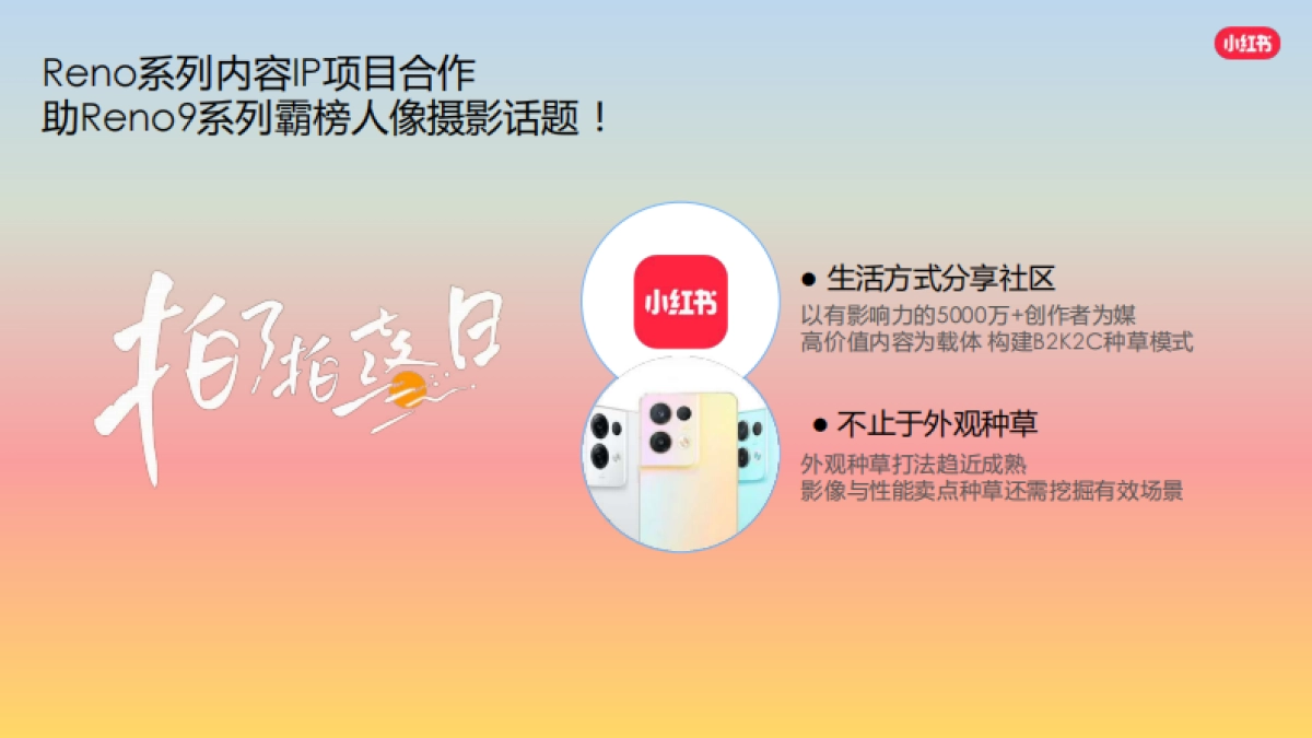 oppo小红书推广方案_第5页