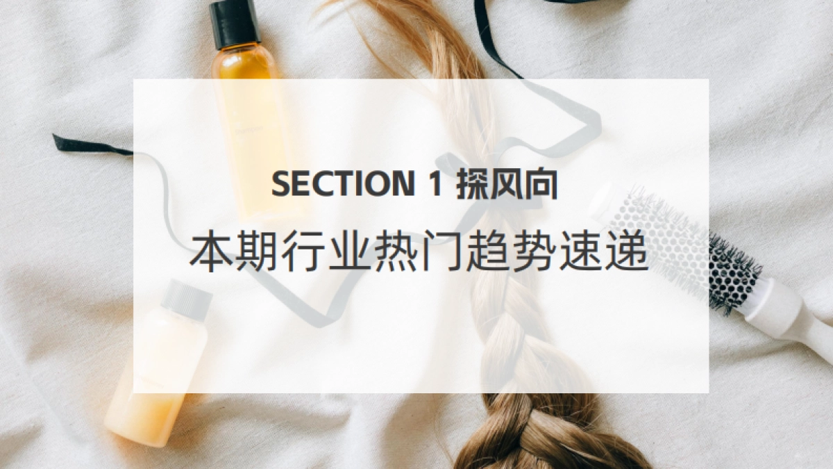 2025年美发护发抖音电商策略报告_第4页