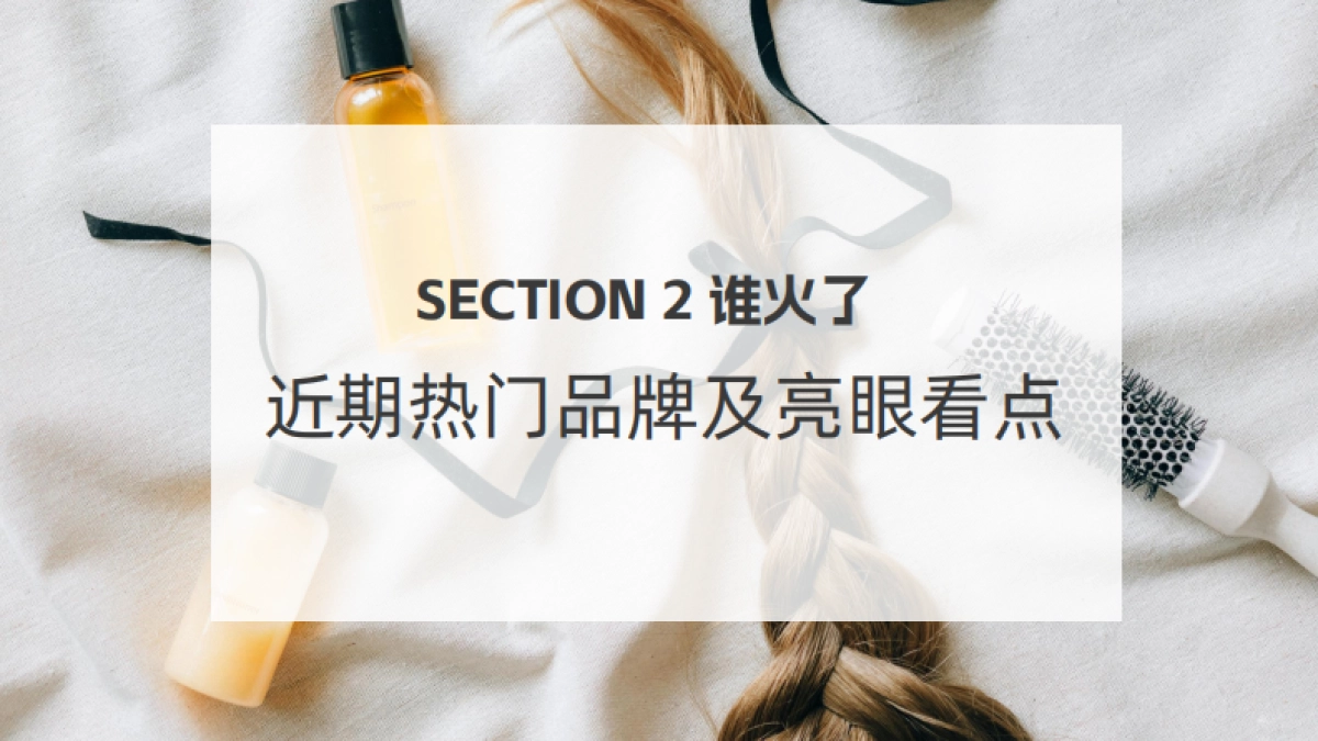 2025年美发护发抖音电商策略报告_第7页
