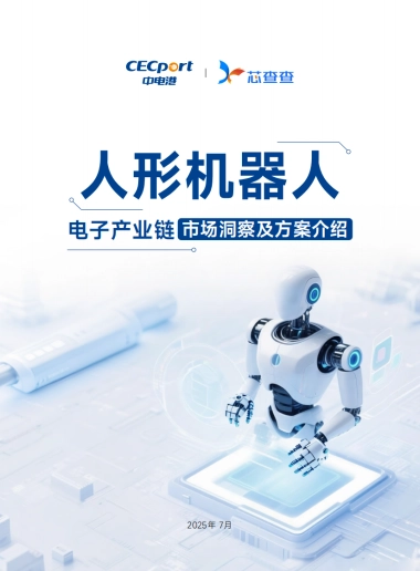 2025年人形机器人产业链市场洞察及方案介绍报告