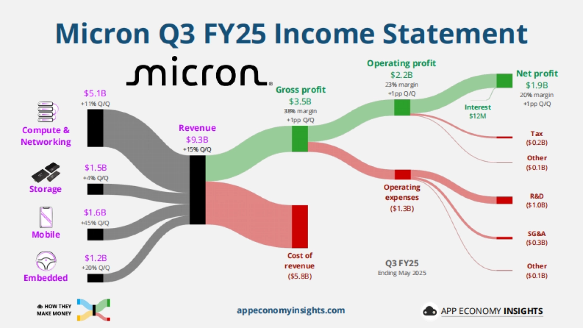 一图看清37家公司经营模式:财务报表桑基图(2025年6月版)(英)_第4页