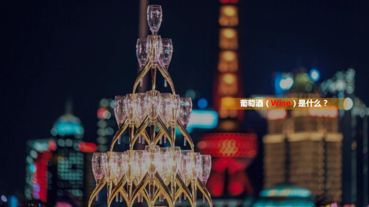 智利伊拉苏酒庄伊拉苏瞻云堡·燧石新品品鉴会活动策划方案_第2页