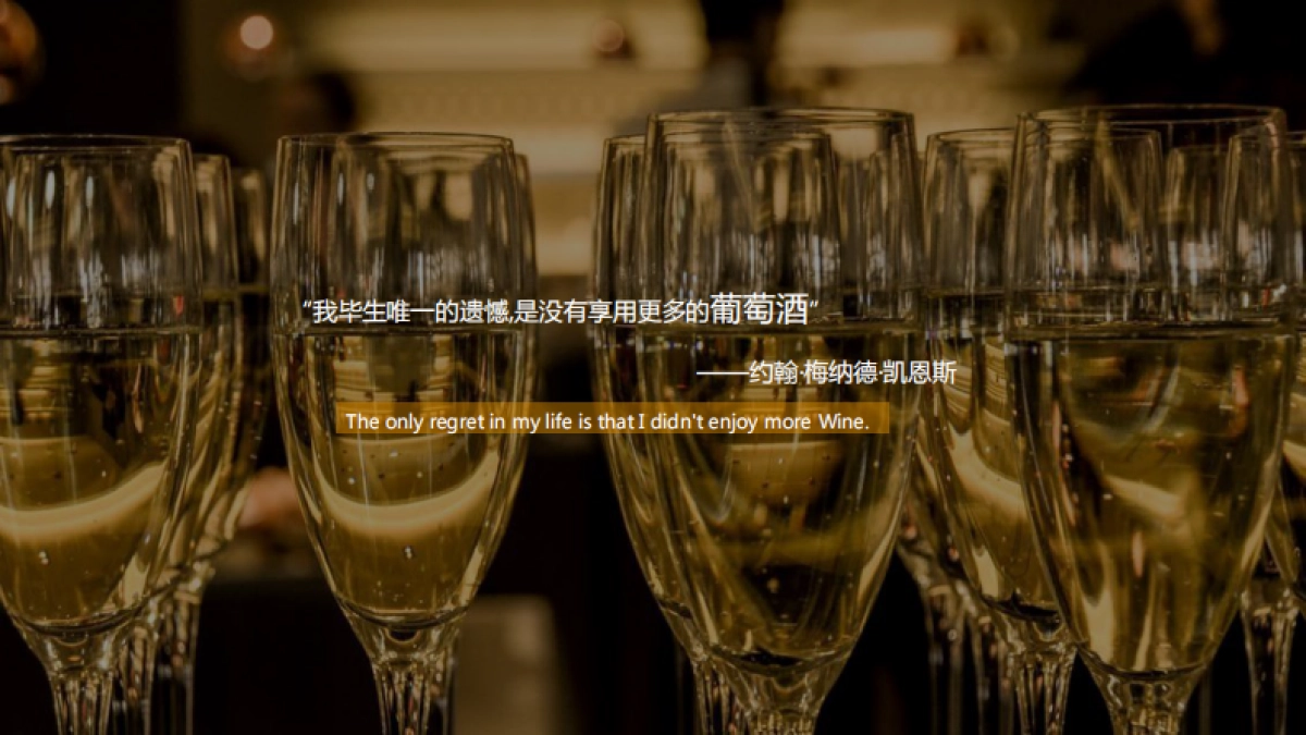 智利伊拉苏酒庄伊拉苏瞻云堡·燧石新品品鉴会活动策划方案_第4页