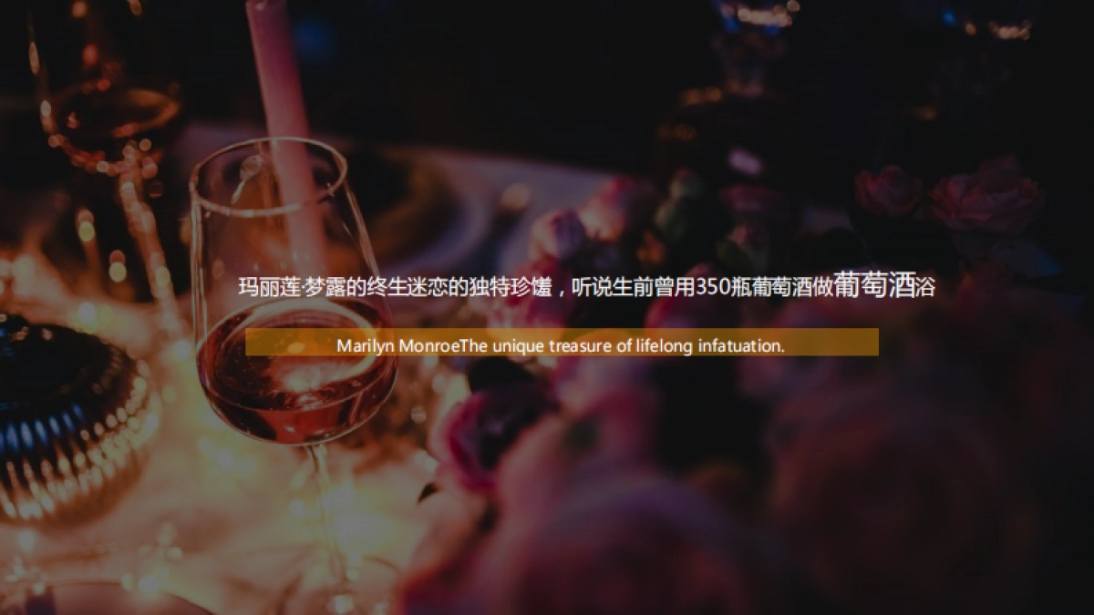 智利伊拉苏酒庄伊拉苏瞻云堡·燧石新品品鉴会活动策划方案_第5页