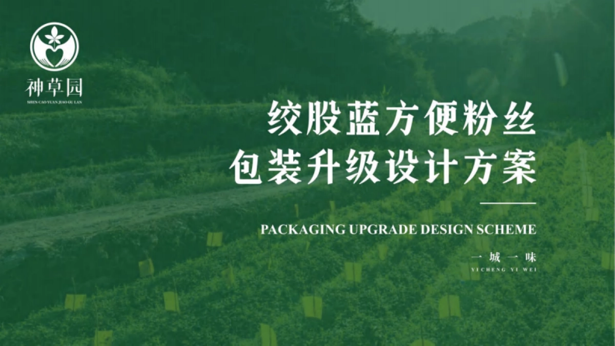 绞股蓝方便粉丝包装升级设计方案_第1页