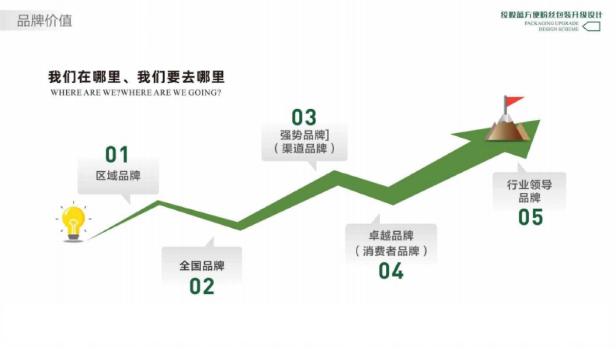 绞股蓝方便粉丝包装升级设计方案_第10页