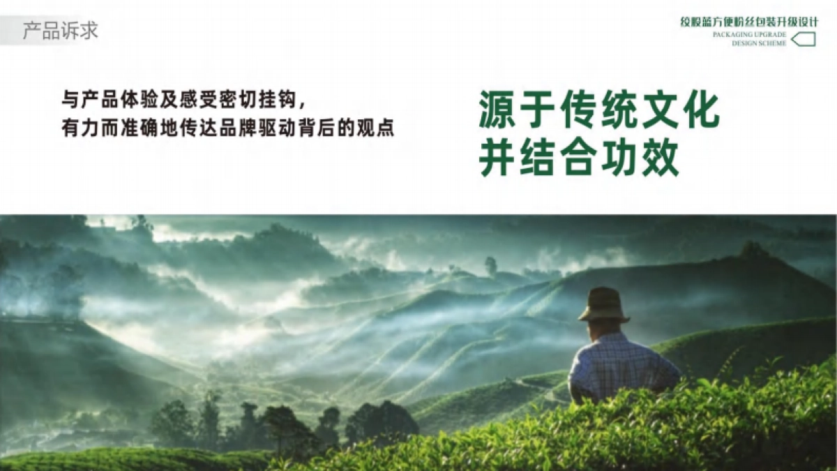 绞股蓝方便粉丝包装升级设计方案_第3页