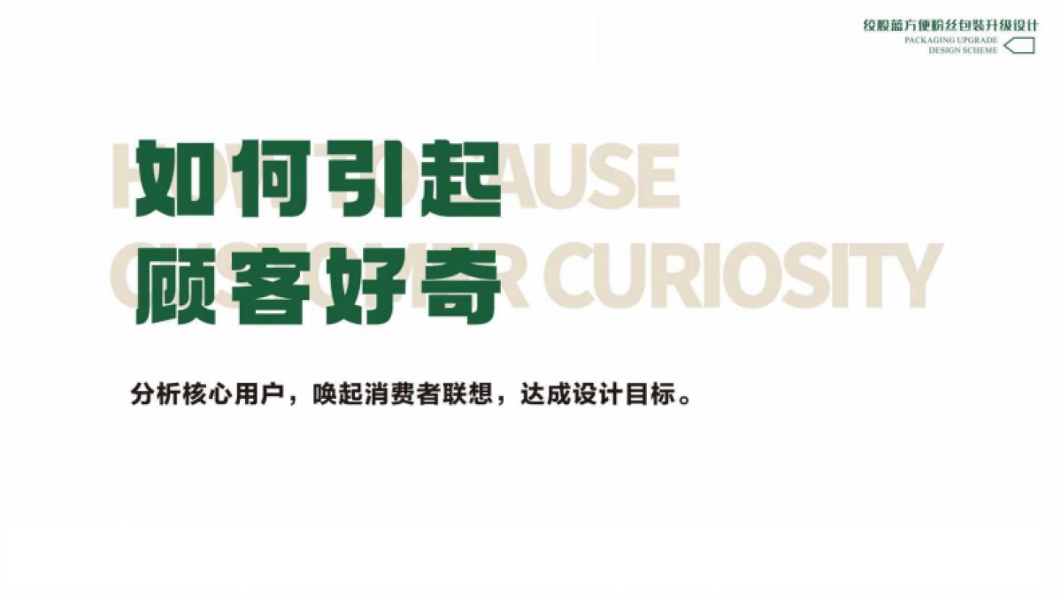 绞股蓝方便粉丝包装升级设计方案_第4页