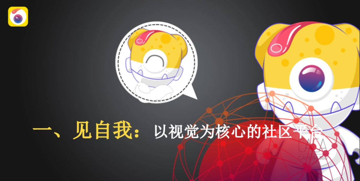 Camera360APP产品营销年度战略规划案_第9页