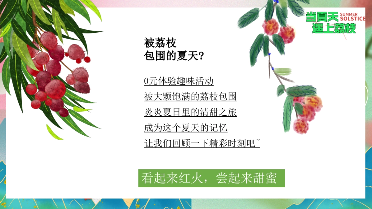 文旅景区给荔夏日嘉年华游园「当夏天遇上荔枝主题」活动策划方案_第3页