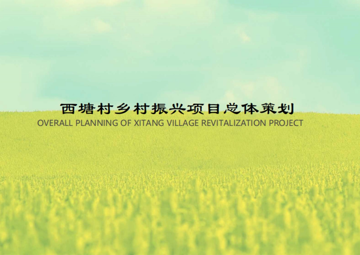 苏州西塘村乡村振兴项目总体策划方案_第1页