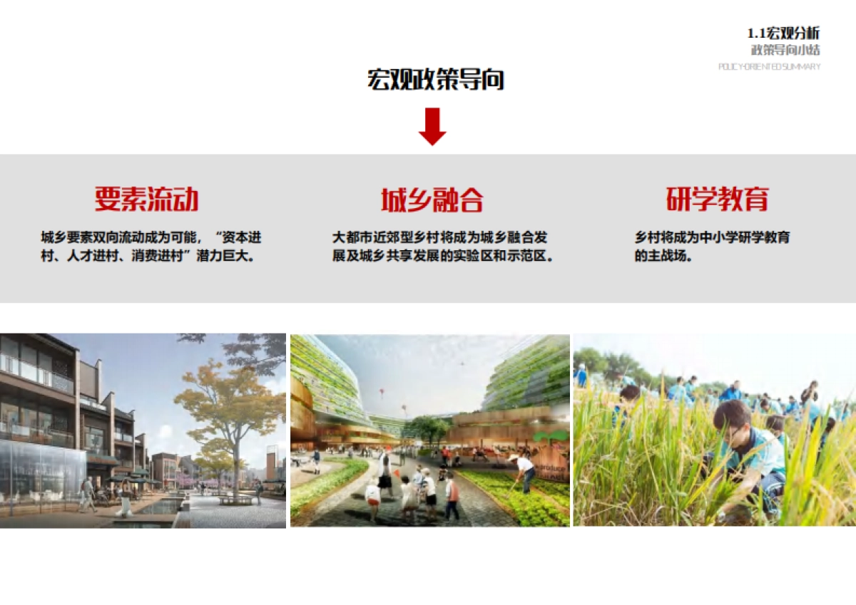 苏州西塘村乡村振兴项目总体策划方案_第9页