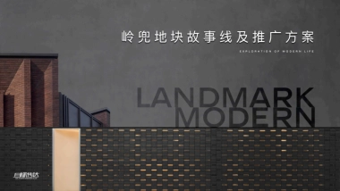 岭兜地块传播思考