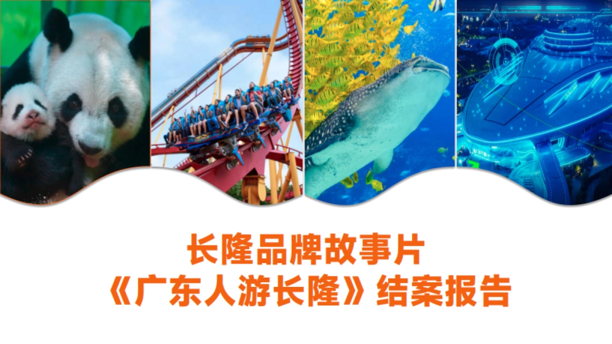 长隆故事片结案报告_第1页