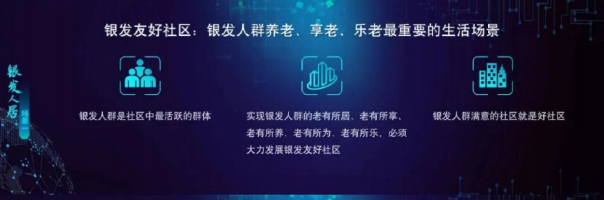 2025中国银发人居发展报告_第10页