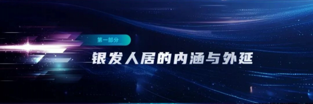 2025中国银发人居发展报告_第4页