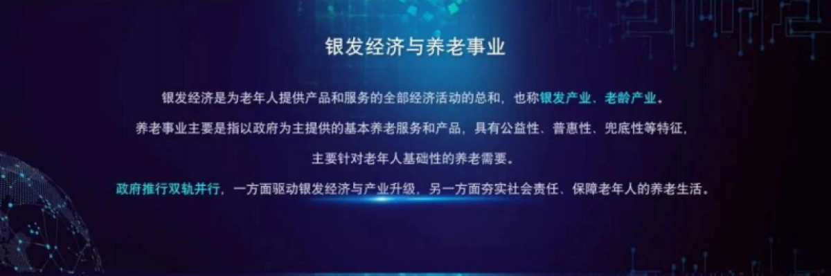 2025中国银发人居发展报告_第5页