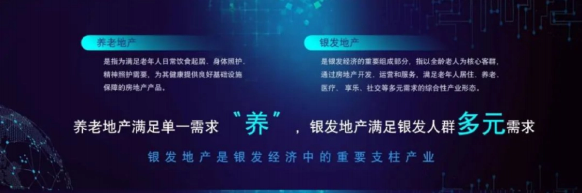 2025中国银发人居发展报告_第6页