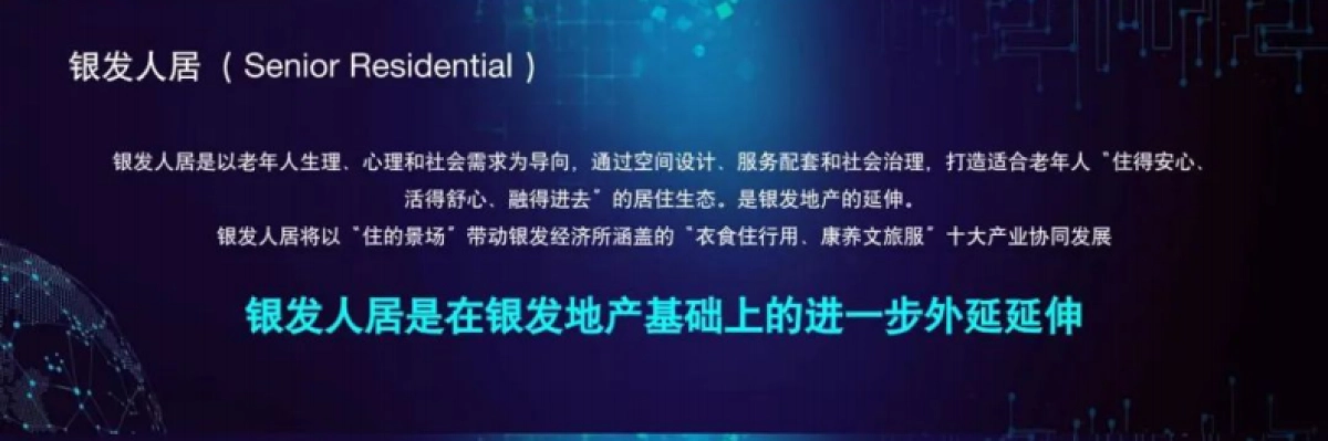2025中国银发人居发展报告_第7页