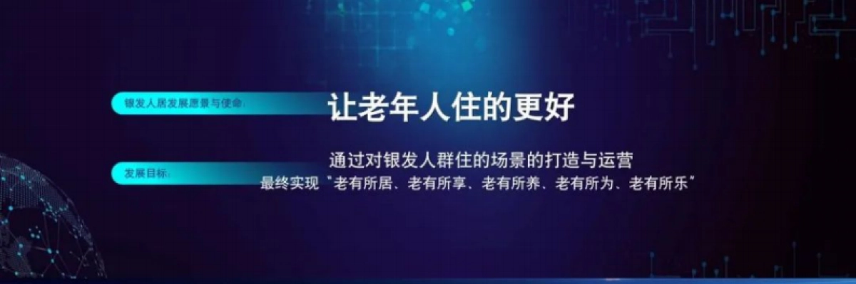 2025中国银发人居发展报告_第8页