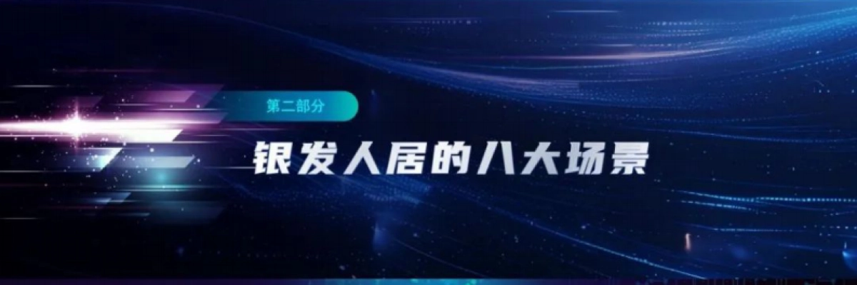 2025中国银发人居发展报告_第9页