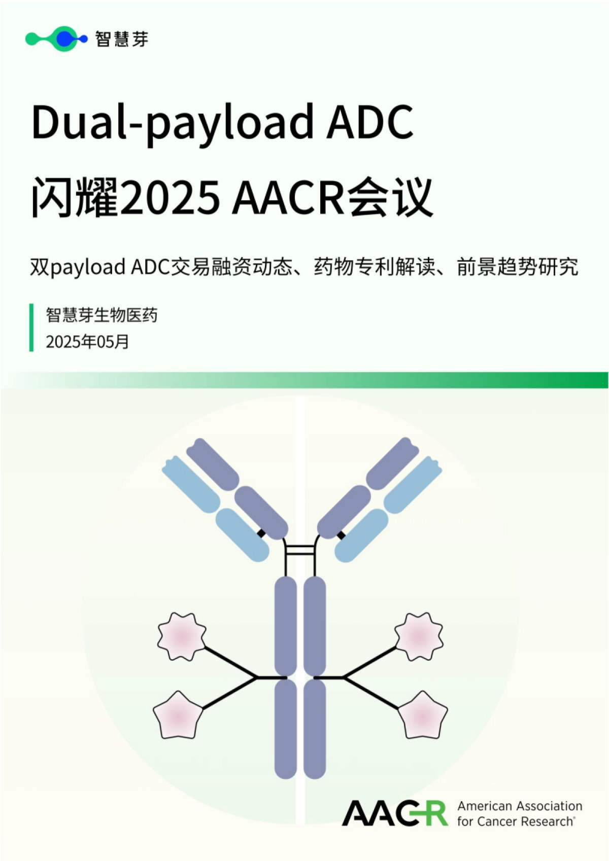 Dual-payload ADC闪耀2025年AACR会议报告_第1页