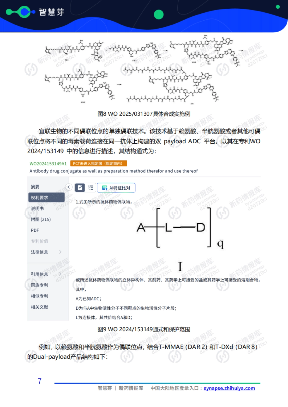Dual-payload ADC闪耀2025年AACR会议报告_第10页