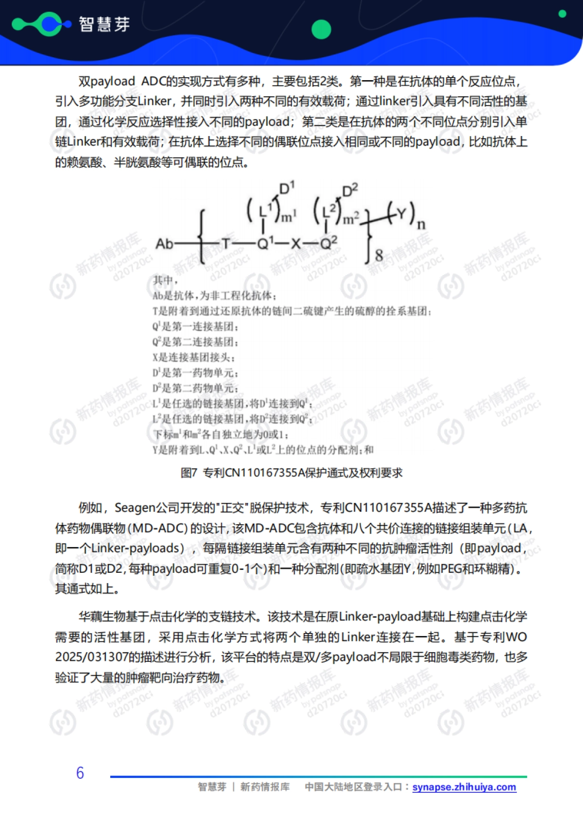Dual-payload ADC闪耀2025年AACR会议报告_第9页