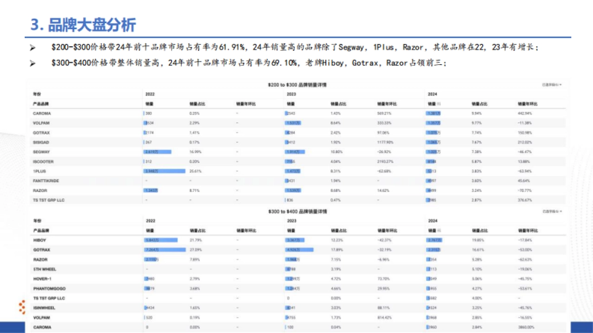 滑板车行业ProBoost分析报告_第8页