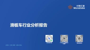 滑板车行业ProBoost分析报告