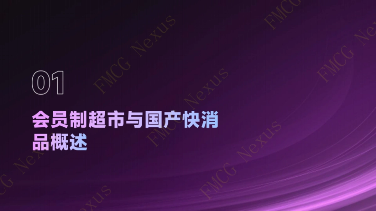快消品行业：会员制超市国产快消品进场费博弈模型白皮书_第2页