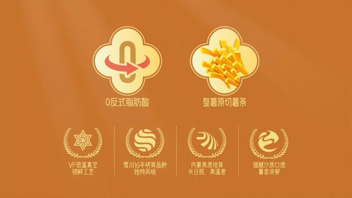 薯小凡薯条品牌产品宣传方案_第2页