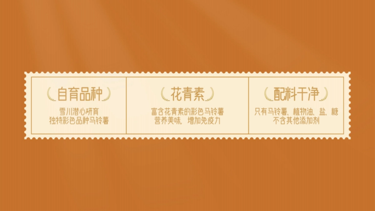 薯小凡薯条品牌产品宣传方案_第3页