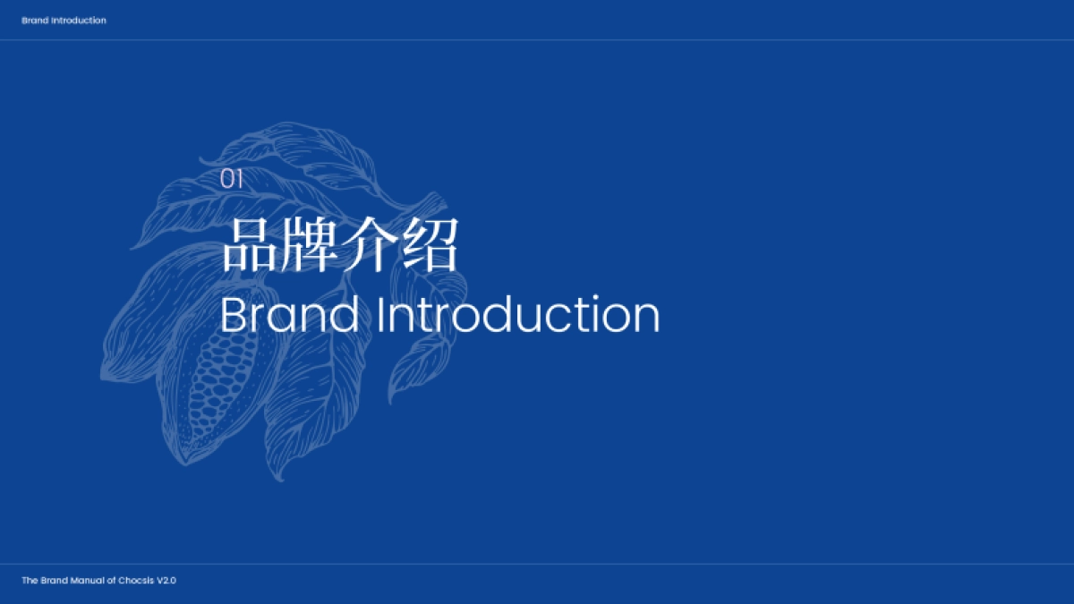 chocsis巧兮兮品牌手册_第3页