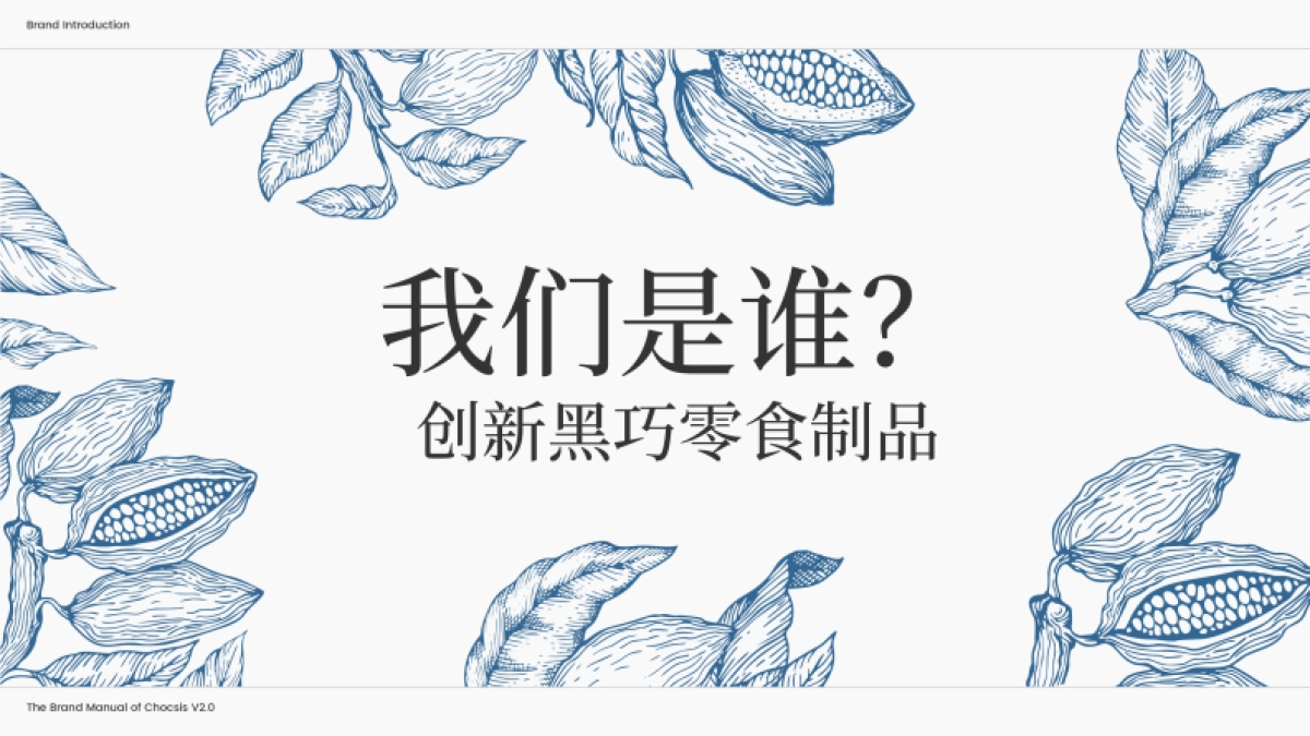 chocsis巧兮兮品牌手册_第4页