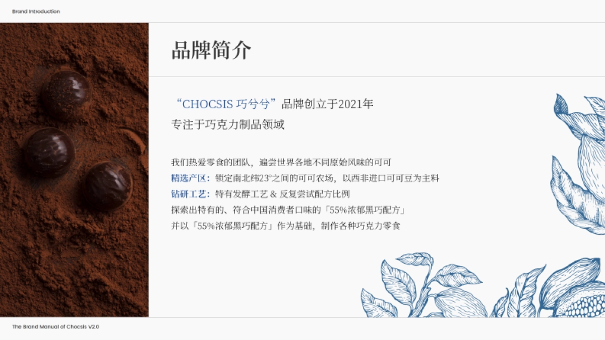 chocsis巧兮兮品牌手册_第5页