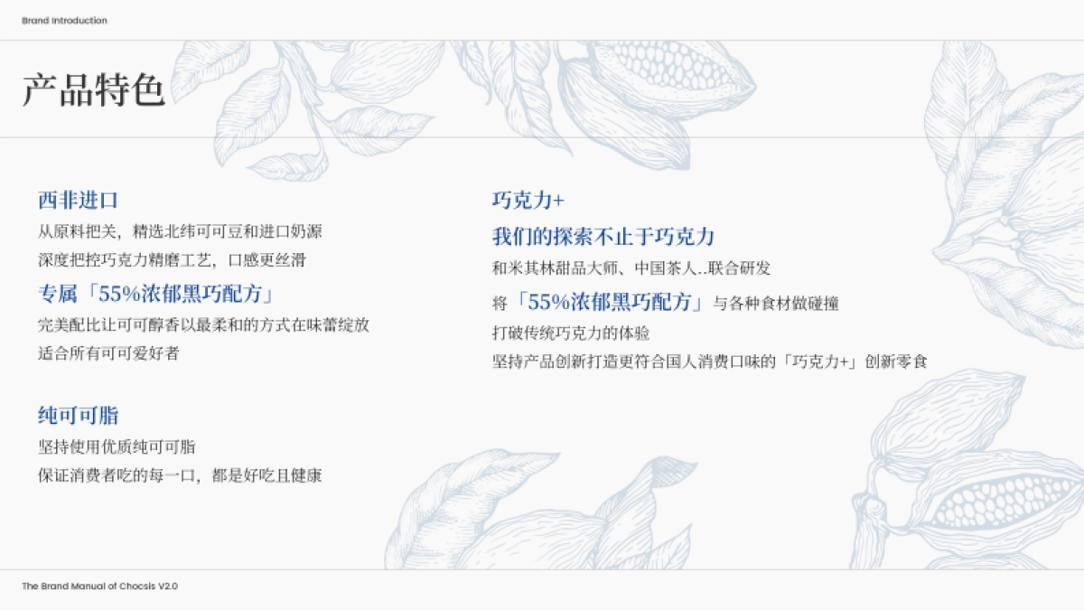 chocsis巧兮兮品牌手册_第6页