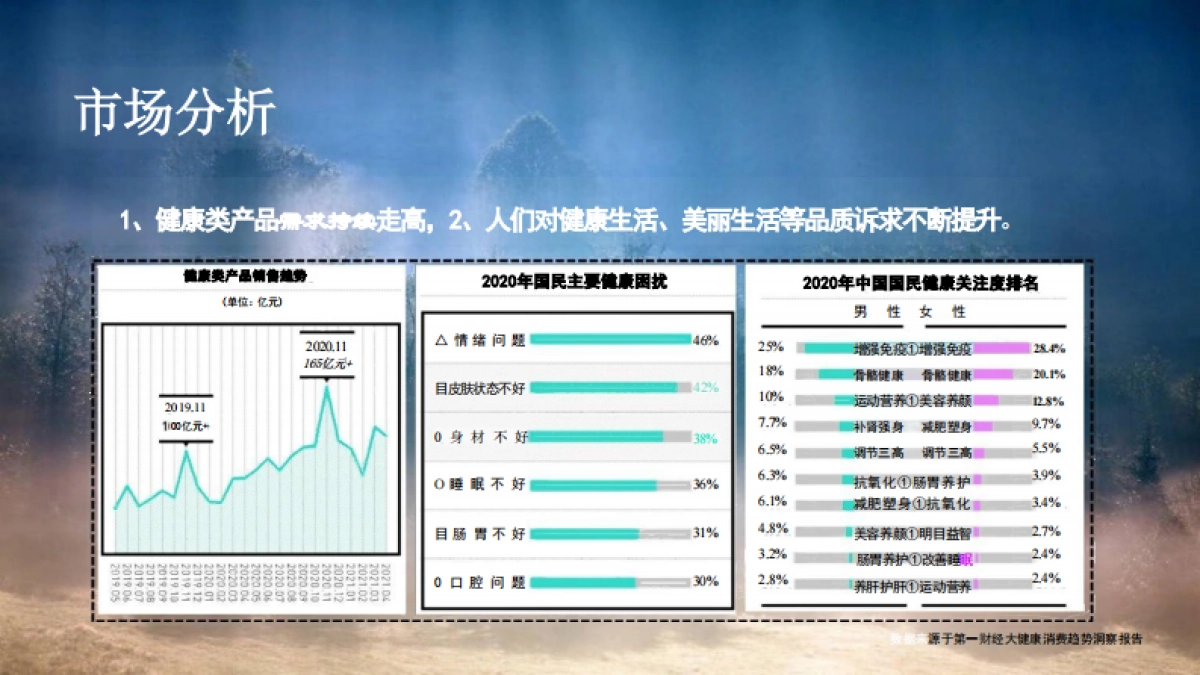 悠然岛闲养度假村方案_第5页