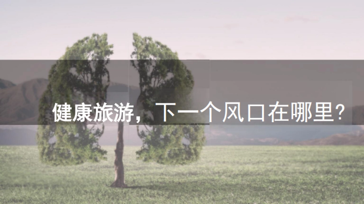 悠然岛闲养度假村方案_第9页