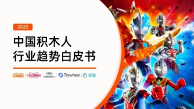 2025中国积木人行业趋势白皮书