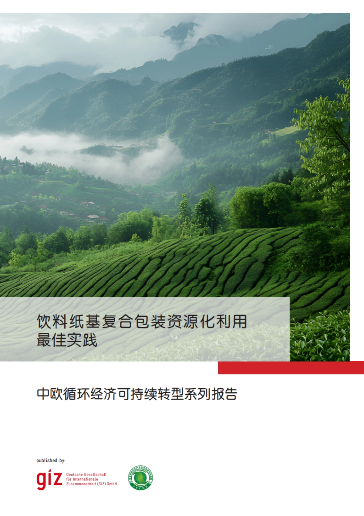 2025年中欧循环经济可持续转型系列报告-饮料纸基复合包装资源化利用最佳实践_第1页