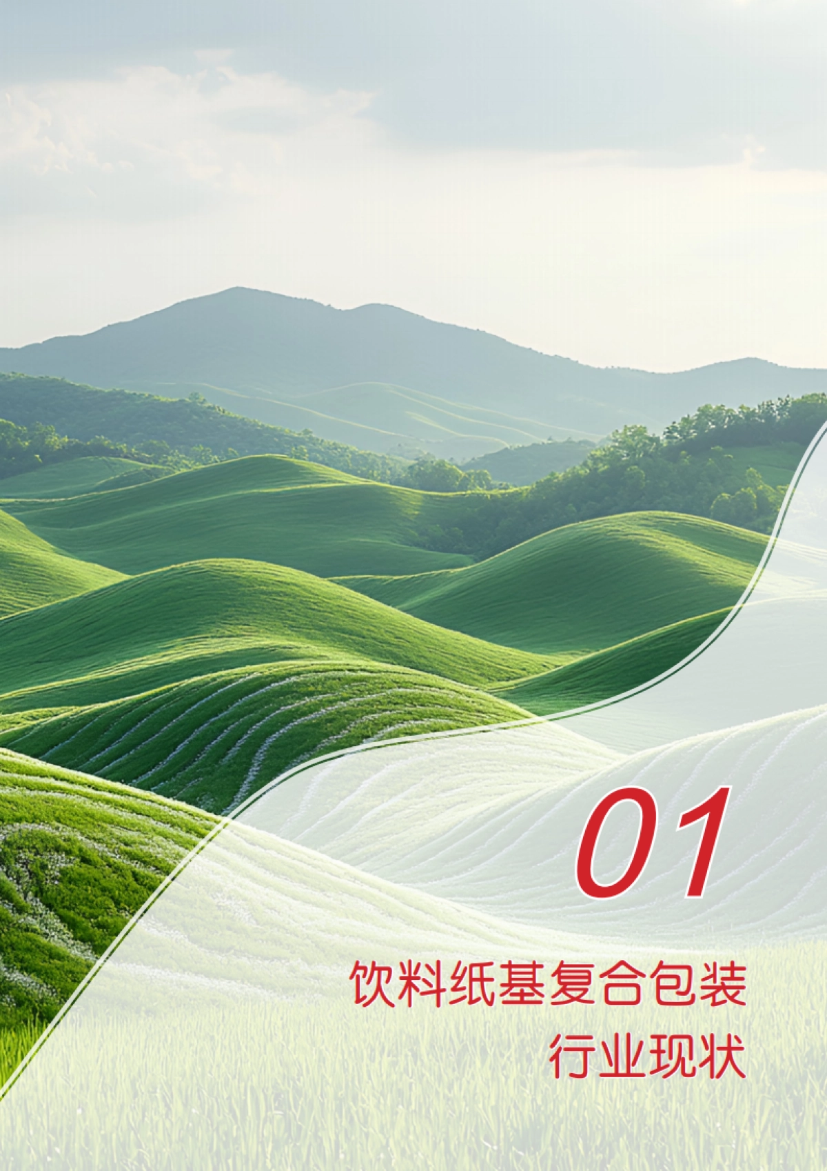 2025年中欧循环经济可持续转型系列报告-饮料纸基复合包装资源化利用最佳实践_第8页