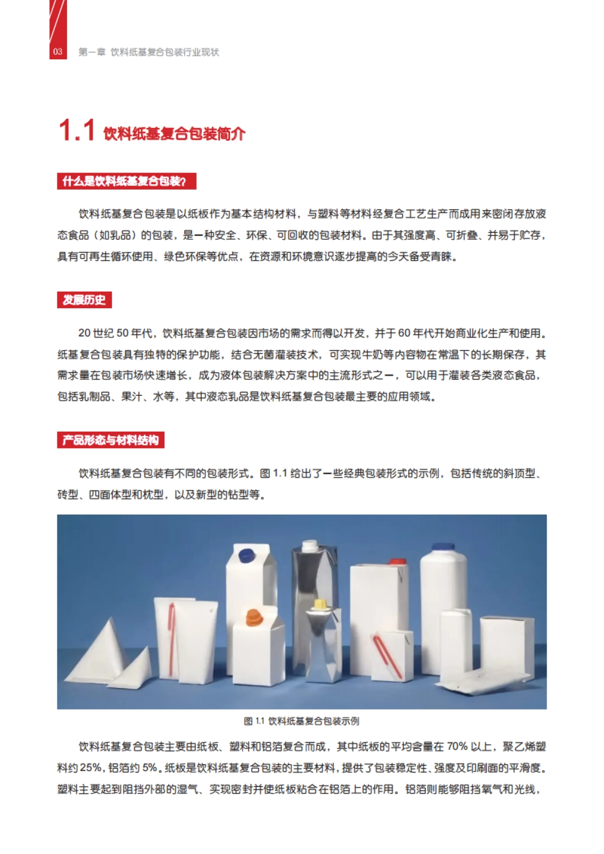 2025年中欧循环经济可持续转型系列报告-饮料纸基复合包装资源化利用最佳实践_第9页