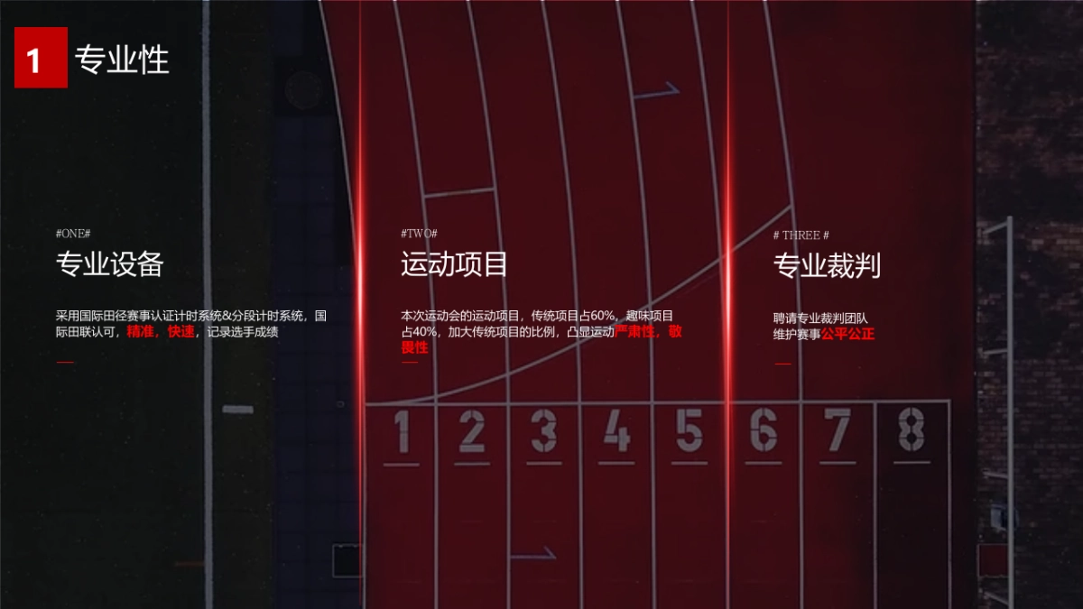 党建活动专业参与度马拉松运动赛事活动策划方案_第10页