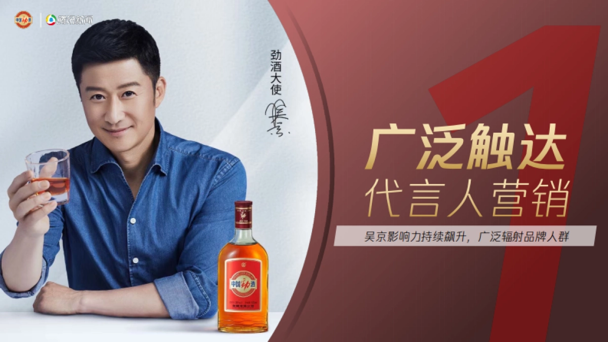 我和劲酒的故事年终复盘_第6页