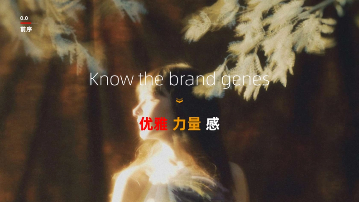 【奇瑞-LEPAS】TVC创意方案_第4页