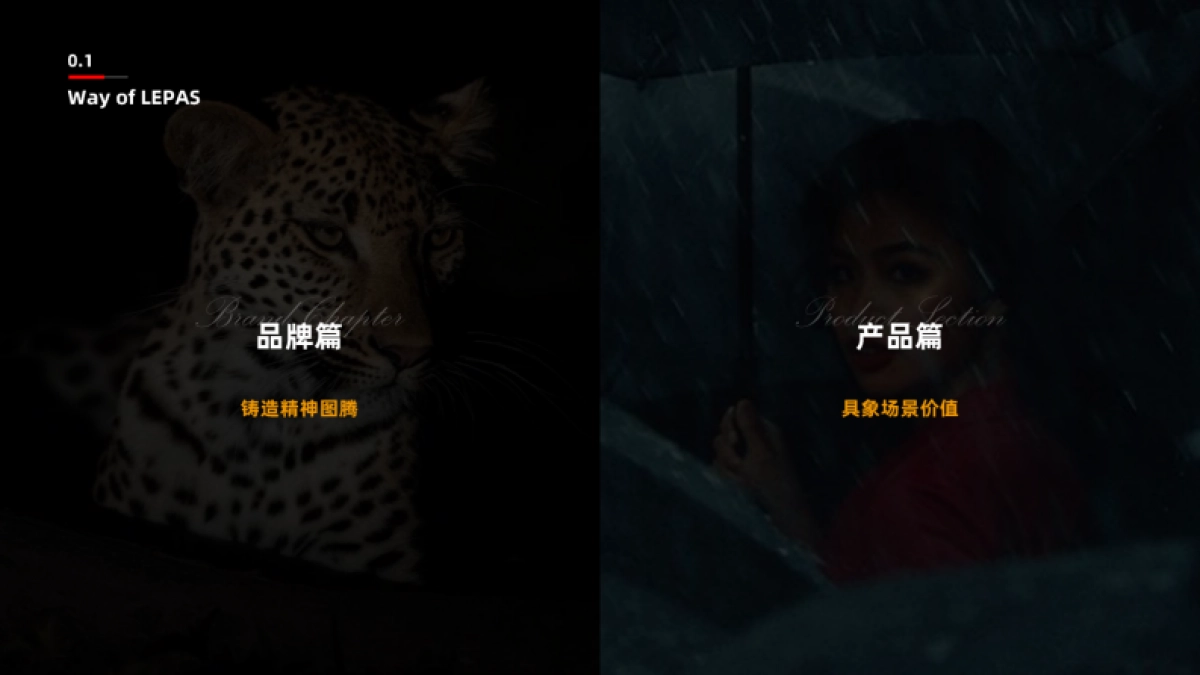 【奇瑞-LEPAS】TVC创意方案_第8页